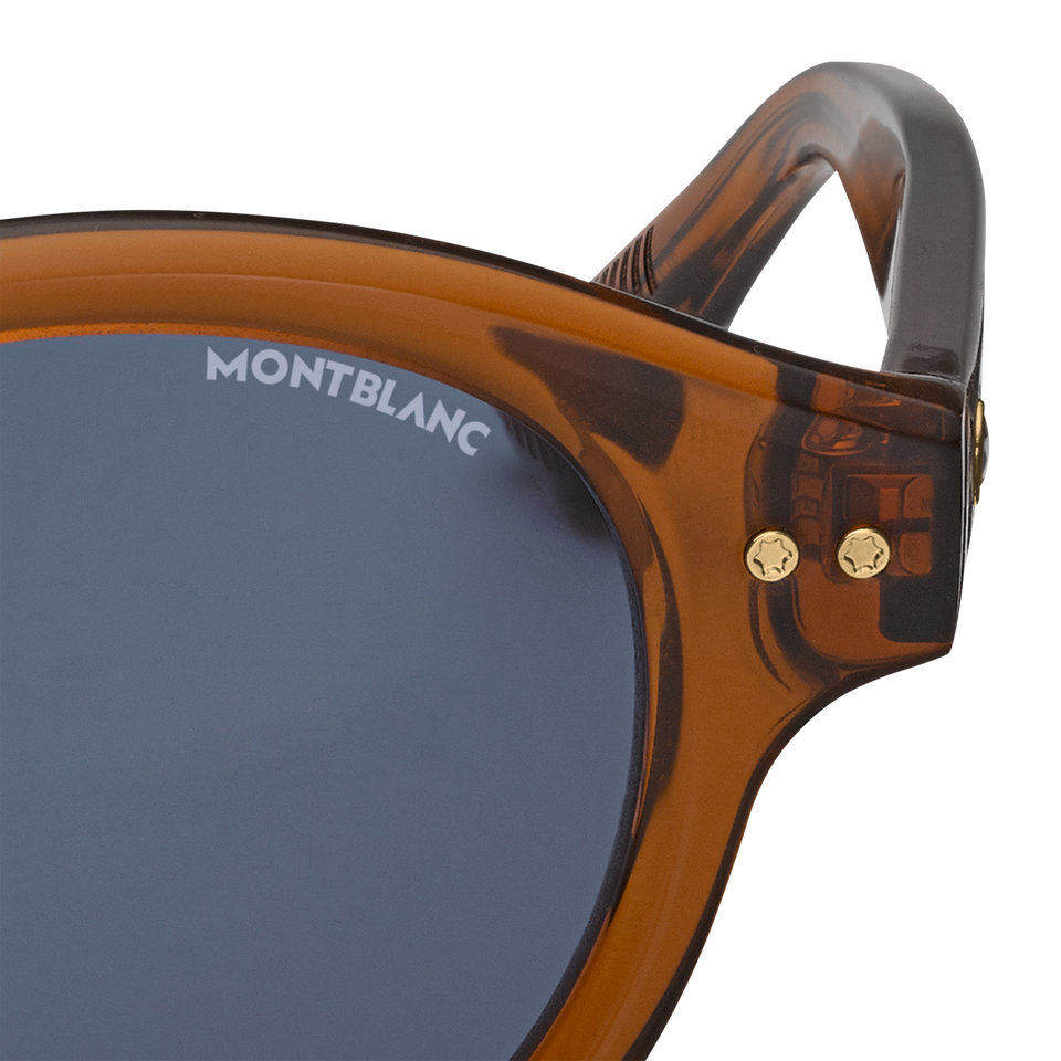 Round Sunglasses with Brown Coloured Acetate Frame - 3