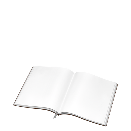 Notebook #149 large, Tobacco - Blank